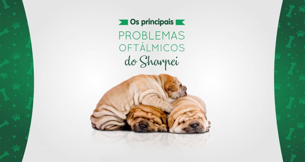 Unidades da Fofinho Petshop e Clínica Veterinária