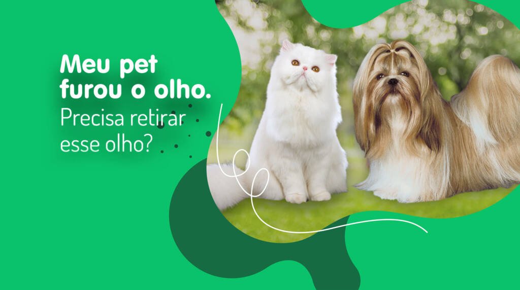 Meu pet furou o olho. Precisa retirar esse olho?